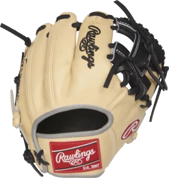 Rawlings Heart Of The Hide 9.5" Training Glove: PRO200TR-2C